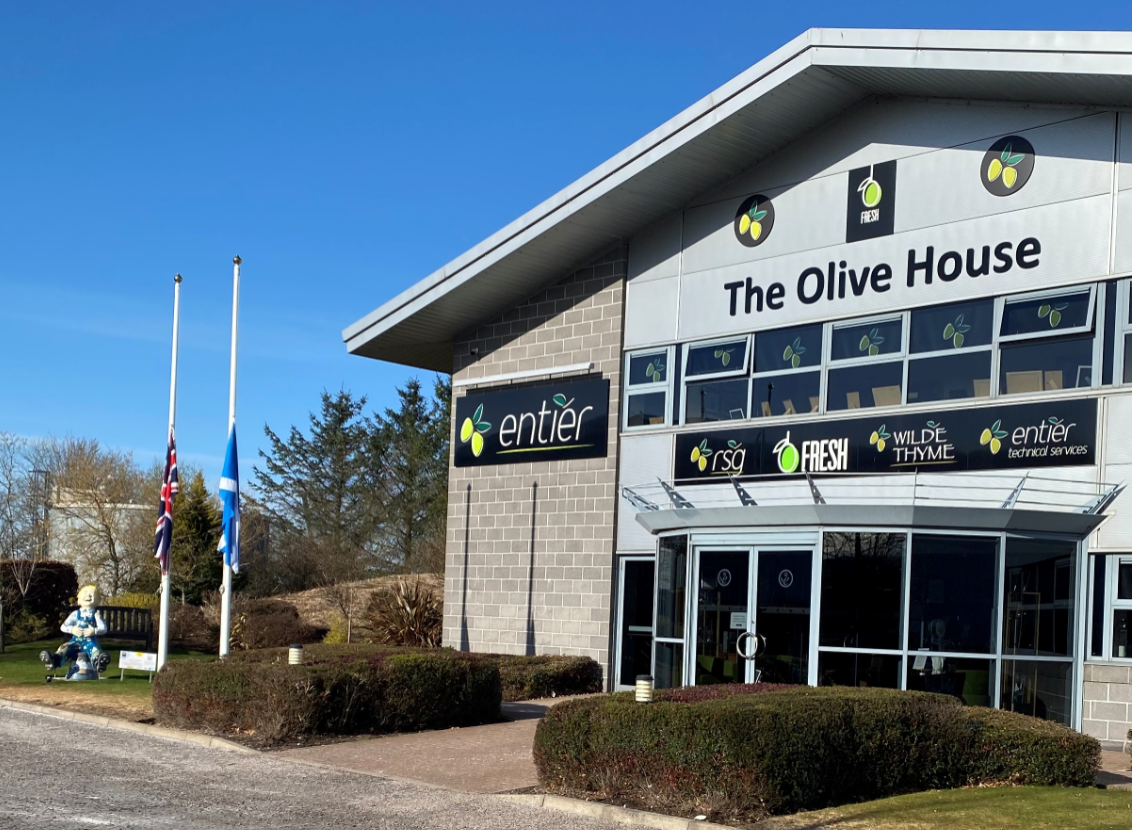 Olive House lowered flags